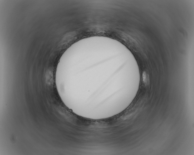 X0000113531203200910161342