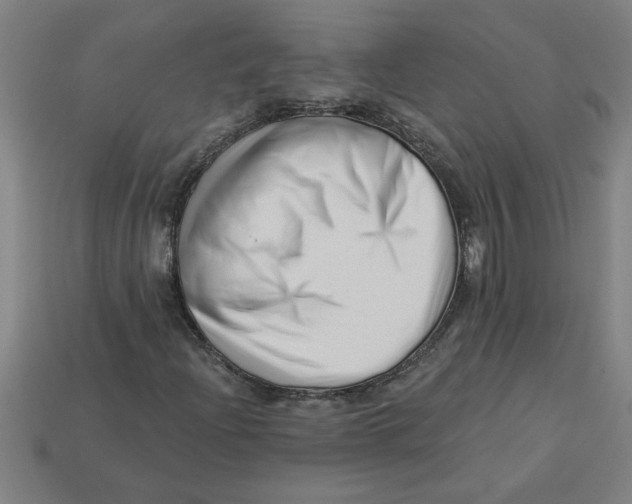 X0000113531204200910161342