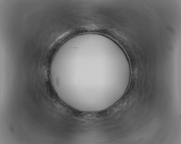 X0000113531205200910161342