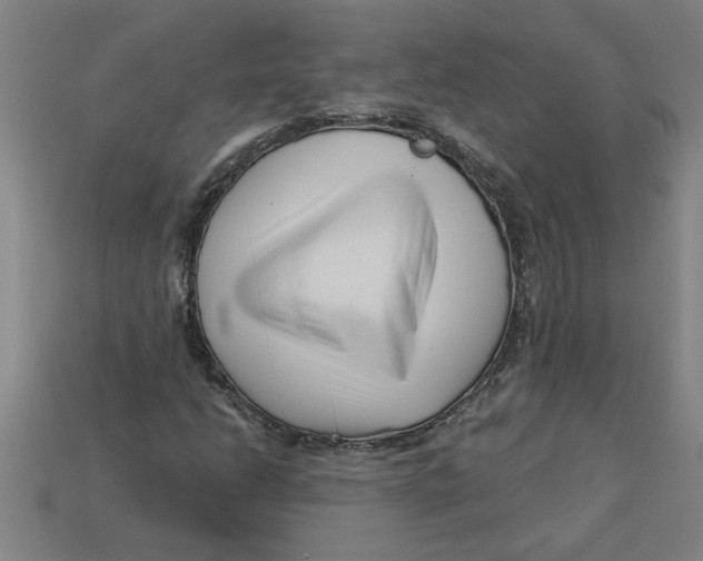 X0000113531206200910161342