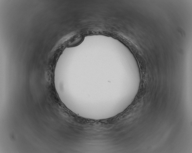 X0000113531207200910161342