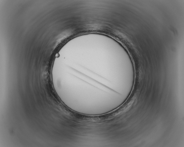 X0000113531210200910161342