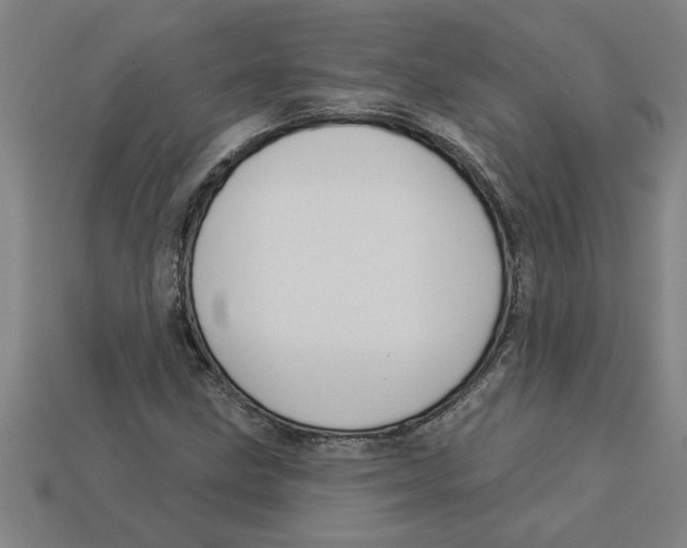 X0000113531211200910161342