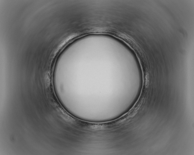 X0000113531212200910161342