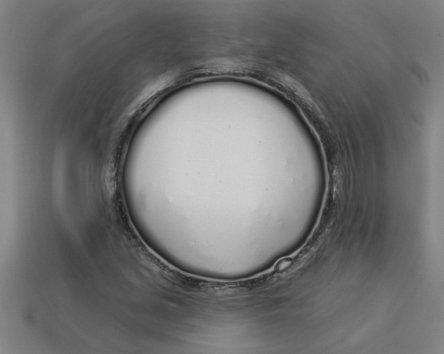 X0000113531213200910161342