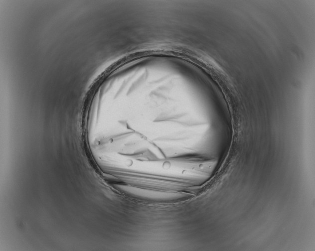 X0000113531216200910161342