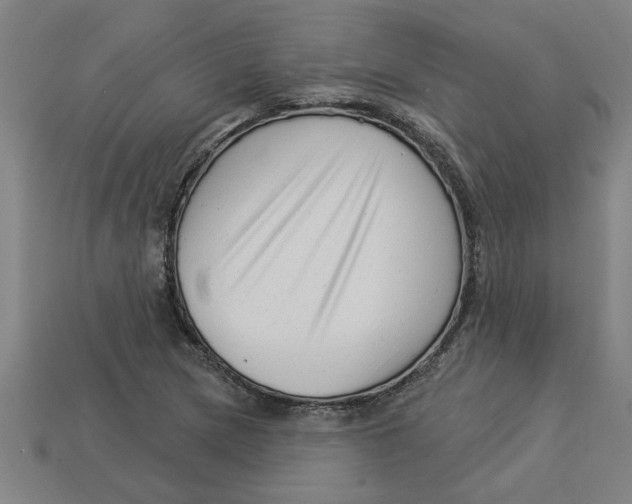 X0000113531217200910161342