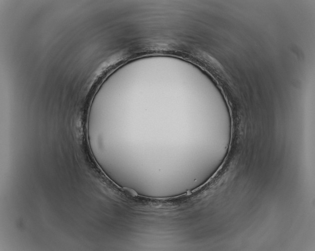 X0000113531218200910161342