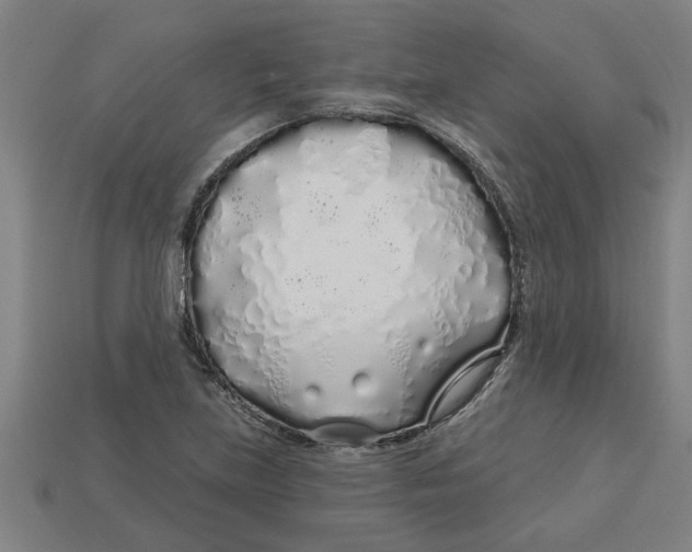 X0000113531219200910161342