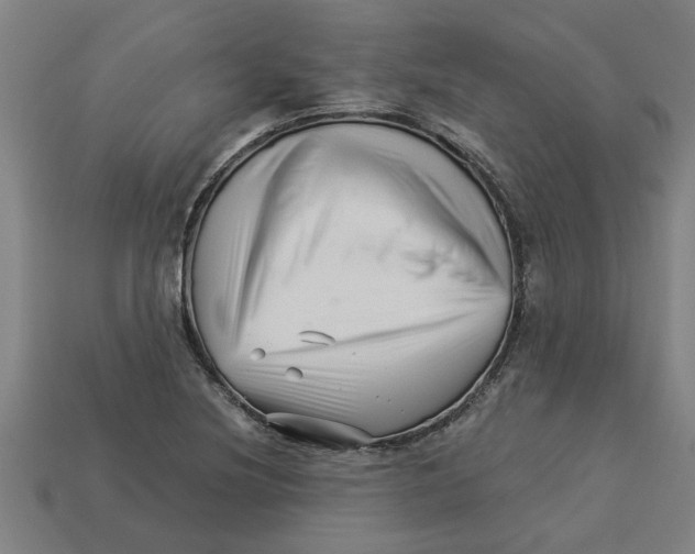 X0000113531220200910161342