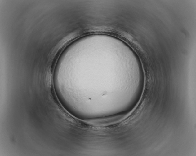 X0000113531221200910161342