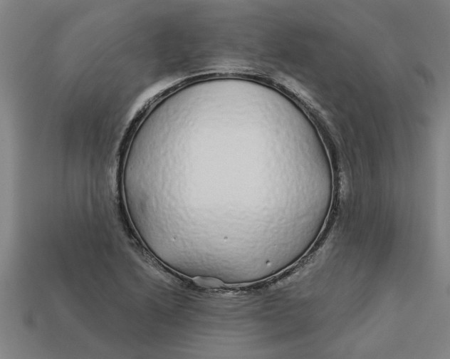 X0000113531222200910161342