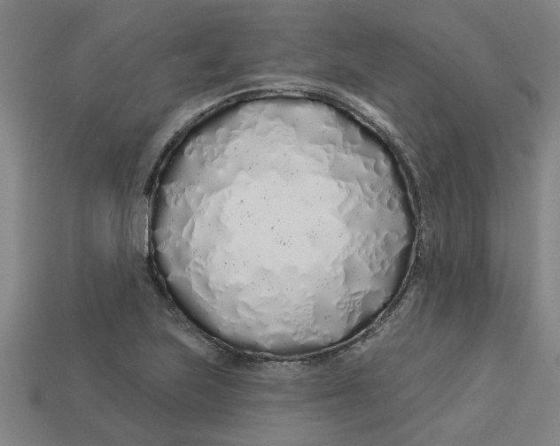 X0000113531223200910161342