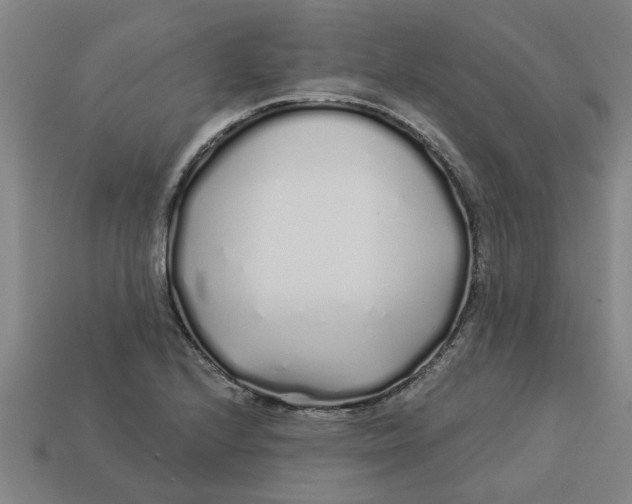 X0000113531224200910161342