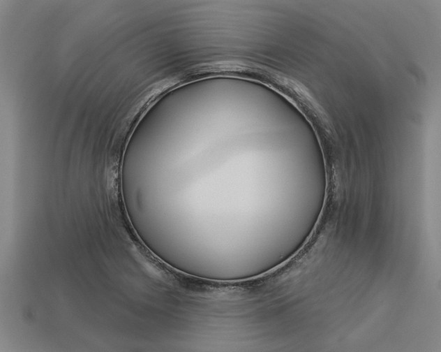 X0000113531225200910161342