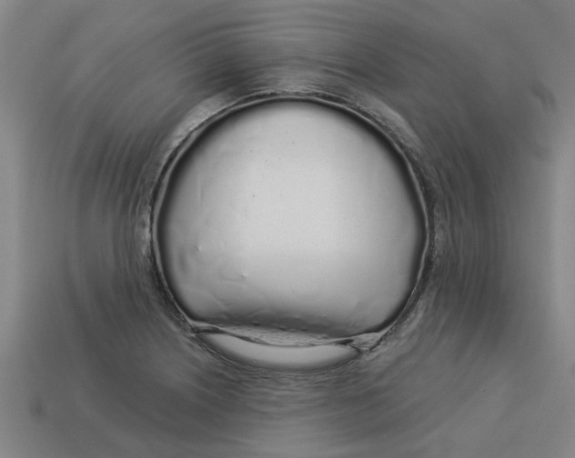 X0000113531226200910161342