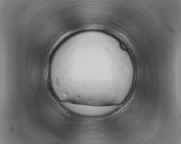 X0000113531228200910161342