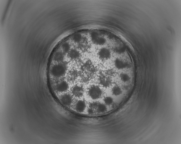 X0000113531229200910161342