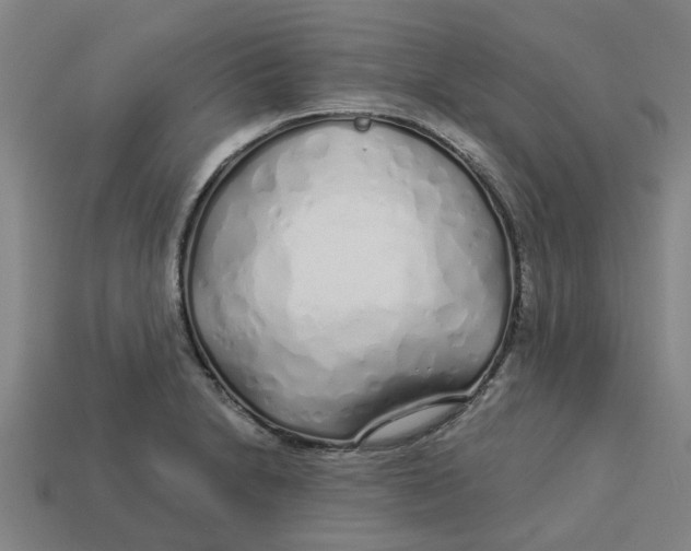 X0000113531230200910161342