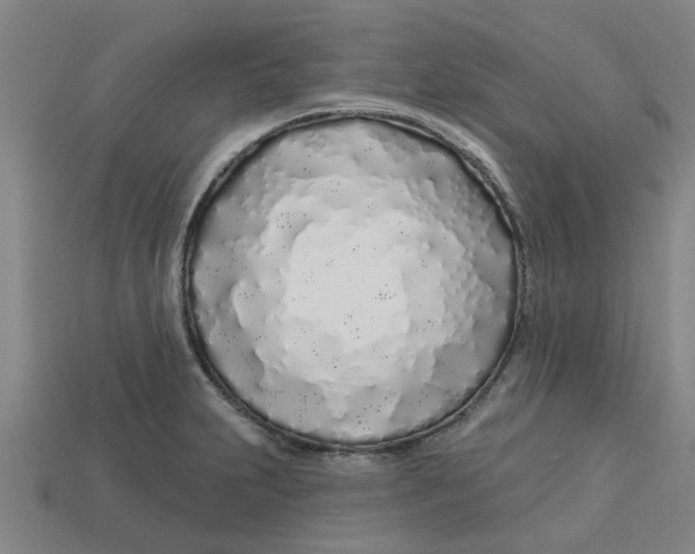 X0000113531231200910161342