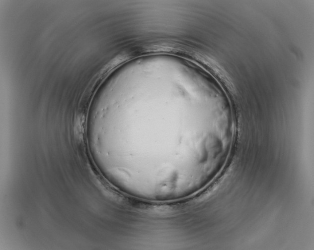 X0000113531233200910161342