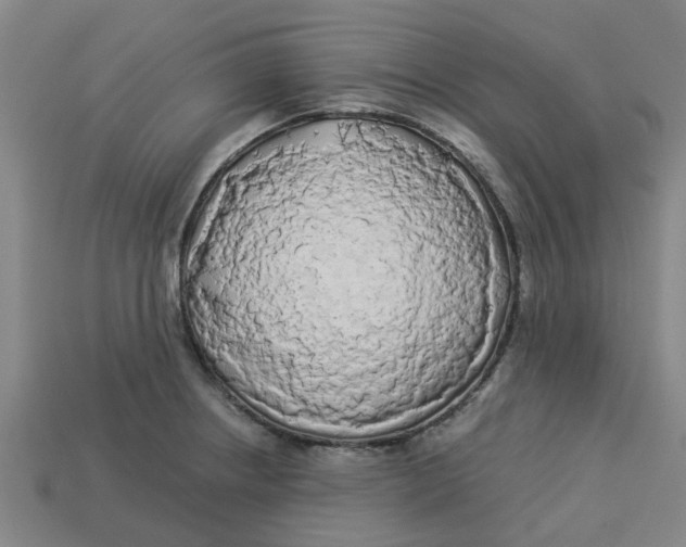 X0000113531234200910161342