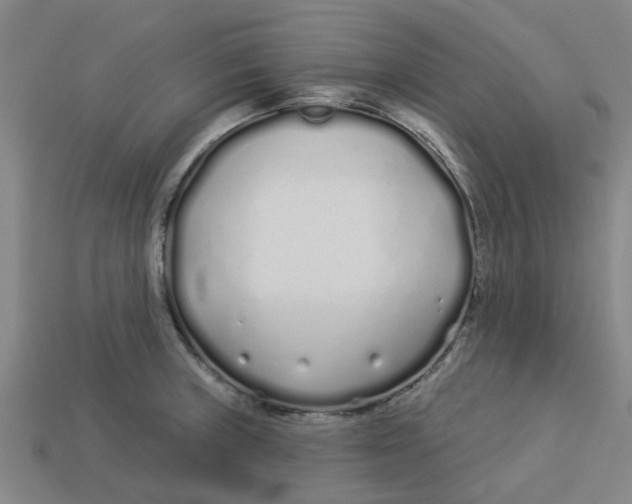 X0000113531235200910161342