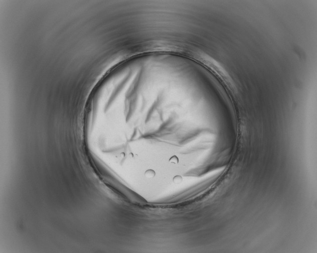 X0000113531236200910161342