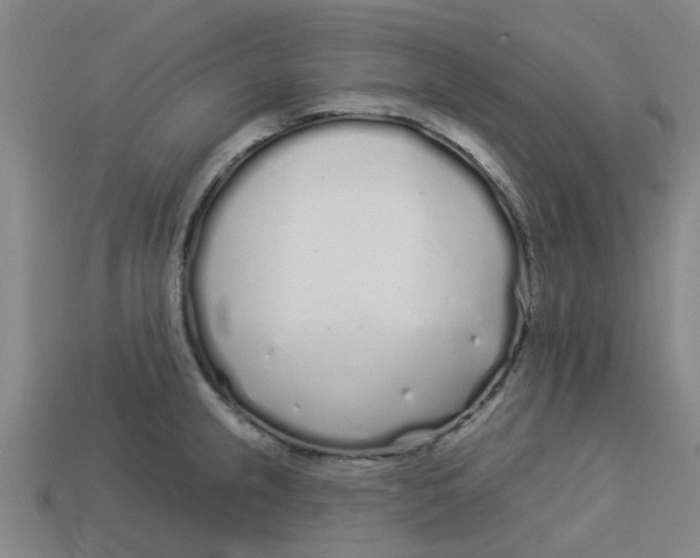 X0000113531237200910161342