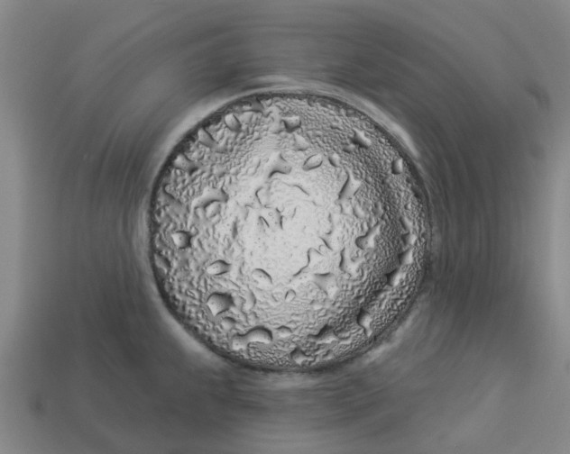 X0000113531239200910161342