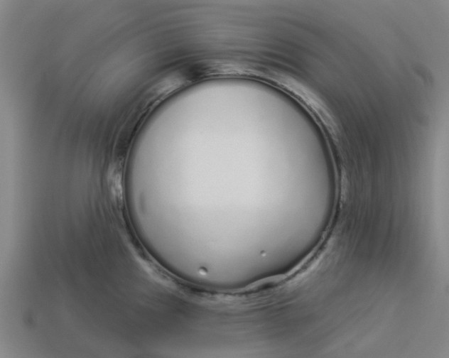 X0000113531241200910161342