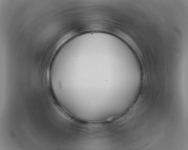 X0000113531242200910161342