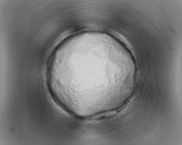 X0000113531243200910161342