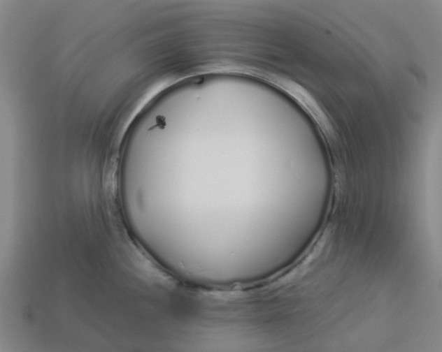 X0000113531244200910161342