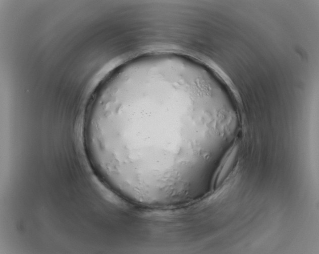 X0000113531245200910161342