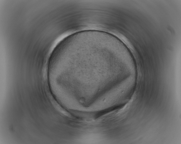 X0000113531246200910161342