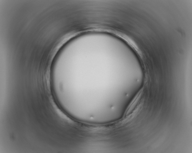 X0000113531247200910161342