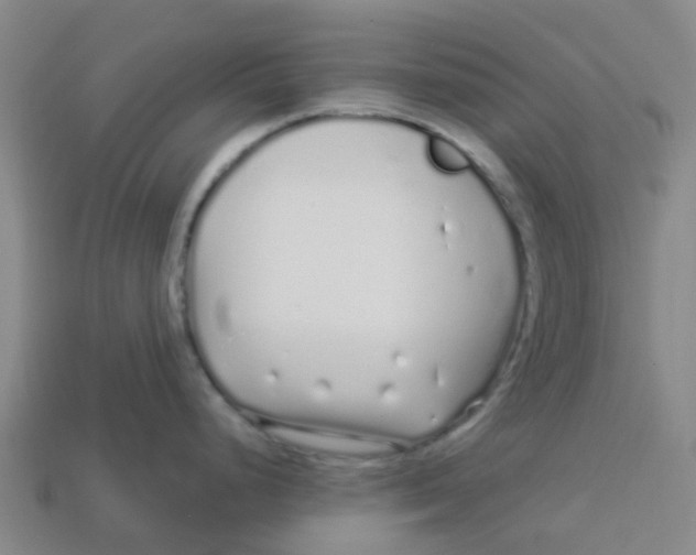 X0000113531248200910161342