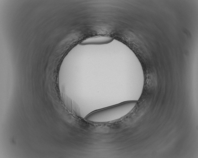 X0000113531249200910161342