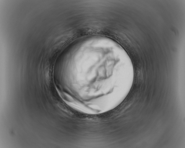 X0000113531250200910161342