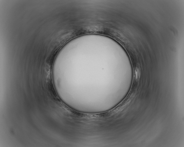 X0000113531251200910161342