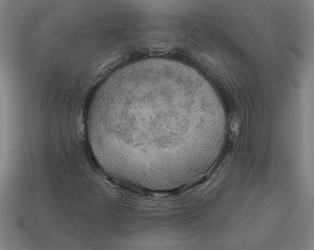 X0000113531252200910161342