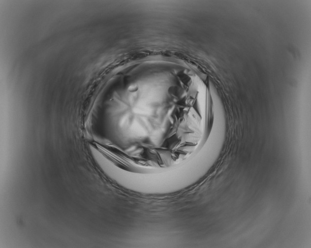 X0000113531253200910161342