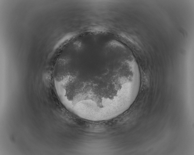 X0000113531254200910161341