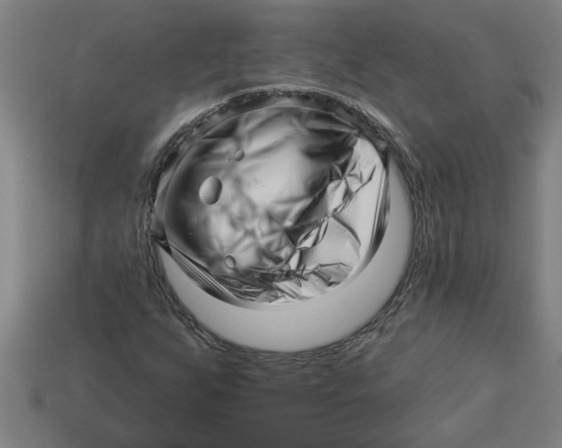 X0000113531255200910161341