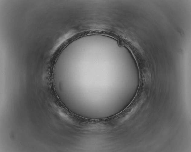 X0000113531256200910161341