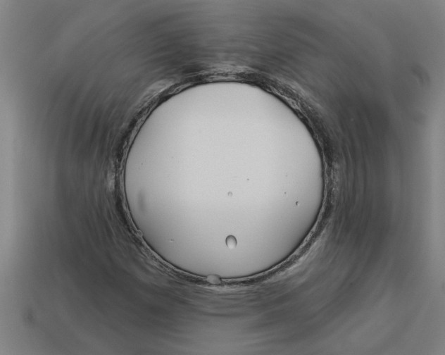 X0000113531257200910161341