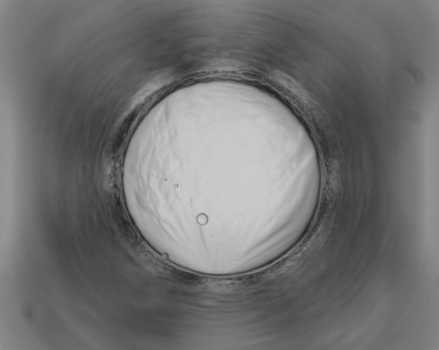 X0000113531258200910161341