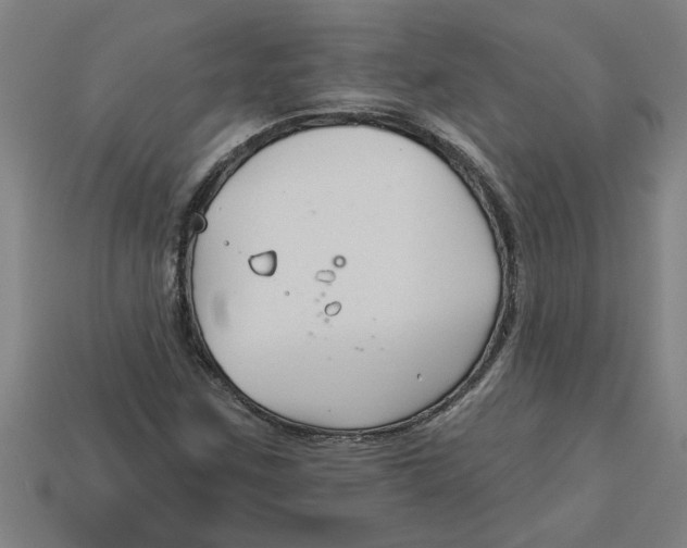 X0000113531259200910161341