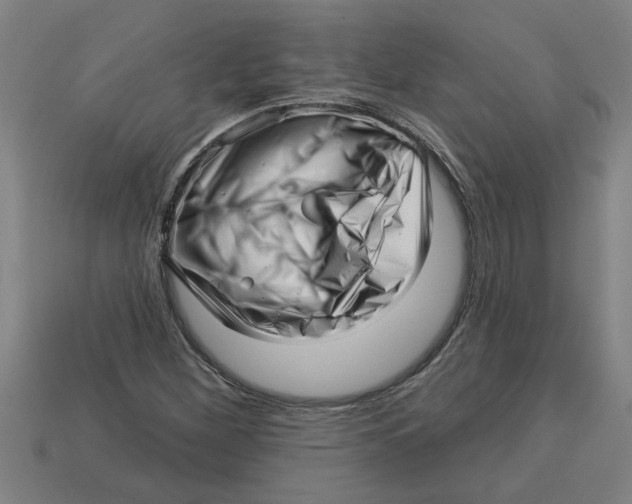 X0000113531260200910161341